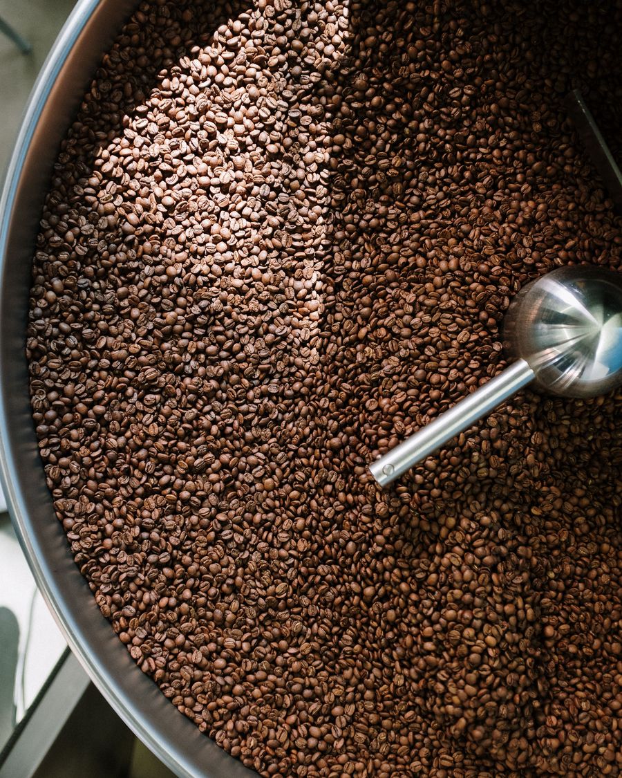 Grãos de café recém torrados